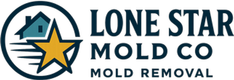 Lone Star Mold Co